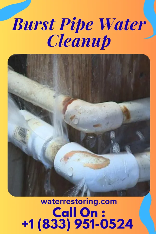 Burst Pipe Water Cleanup in Venersborg, WA