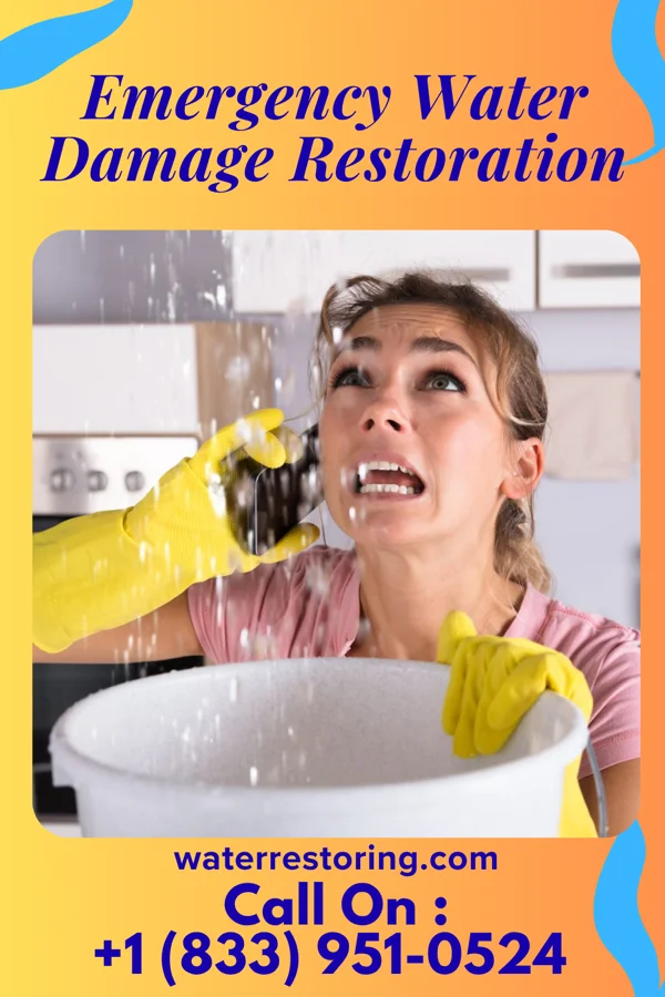 Emergency Water Damage Restoration in Venersborg, WA
